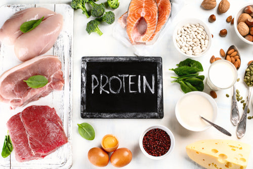 Protein Power: Unraveling the Benefits and Importance of Dietary Protein