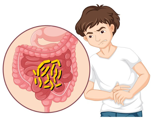 Brown Gold: Mining the facts from Faeces