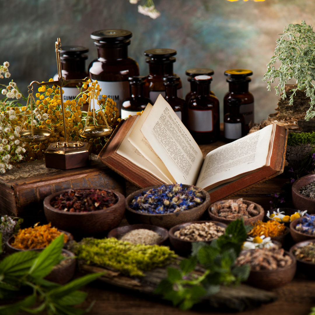 Top Medicinal Herbs with Benefits and Uses