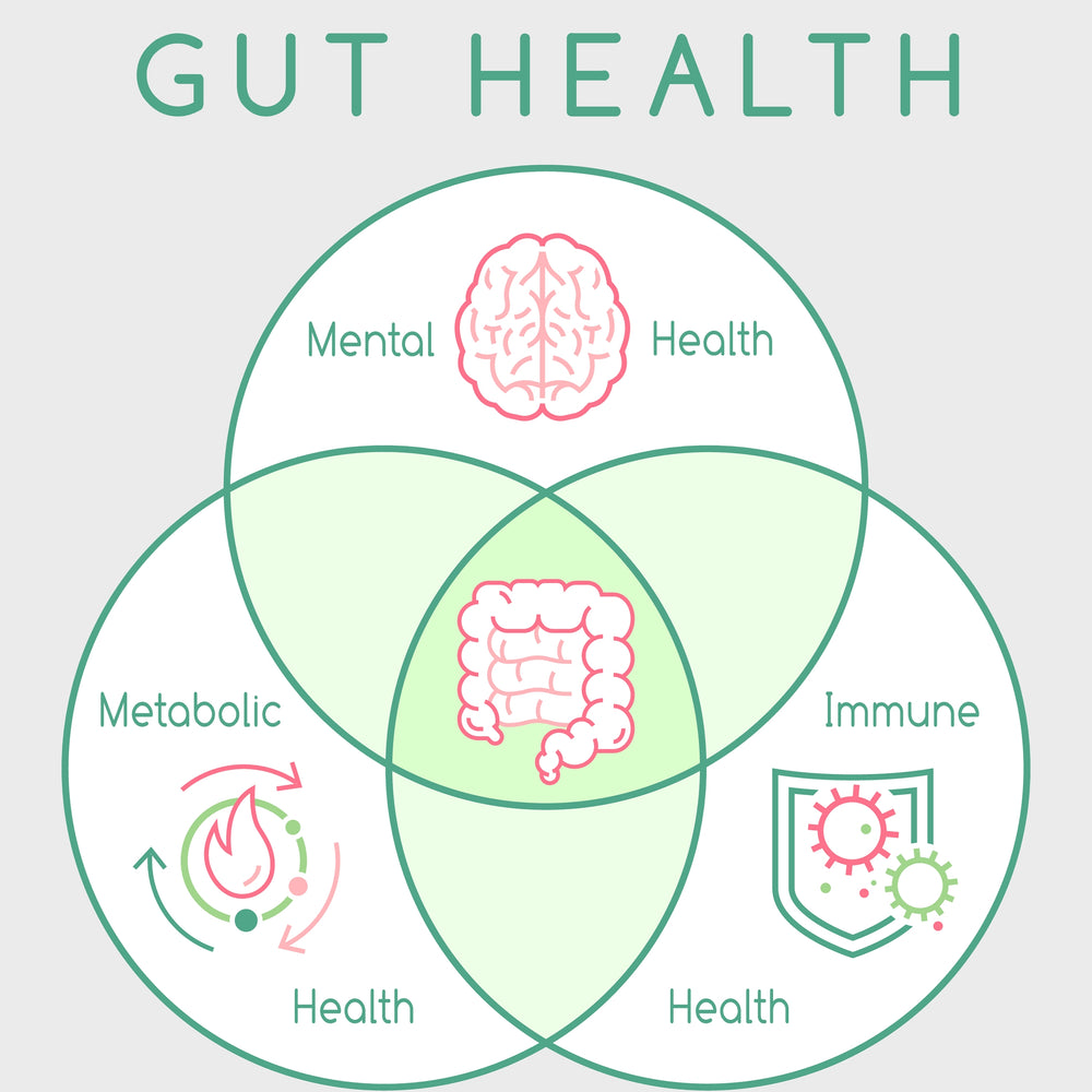 Revitalize Your Gut: Gut Flora Tea 7/14 Day Cleanse